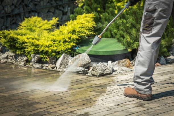 Best Soft Washing  in Oakdale, CA